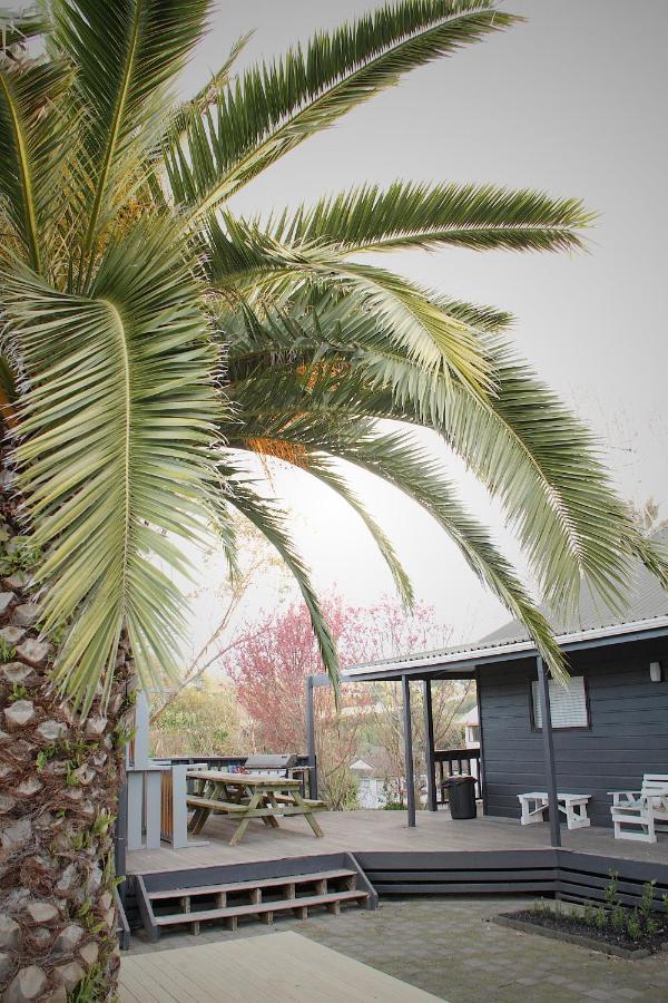 Hugo & Carters Backpackers & Motel Tauranga Exterior photo Phoenix canariensis